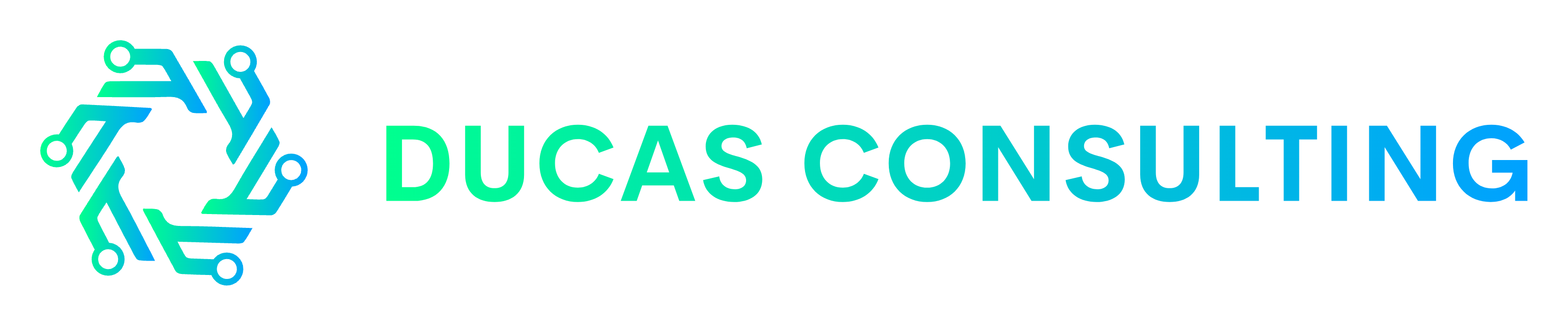Ducas consulting logo